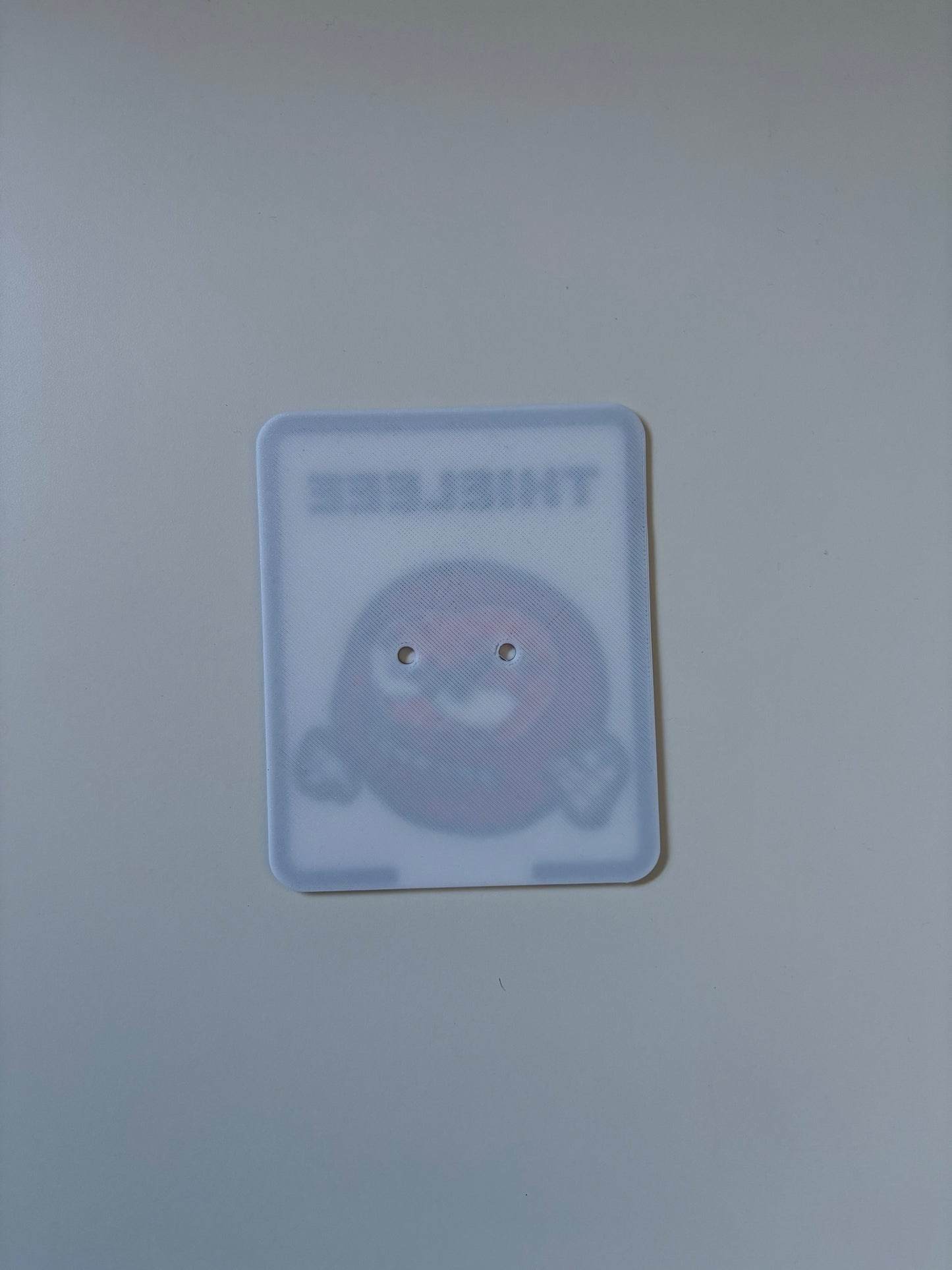 Simson Kennzeichen 3D Druck Custom THIELEEE